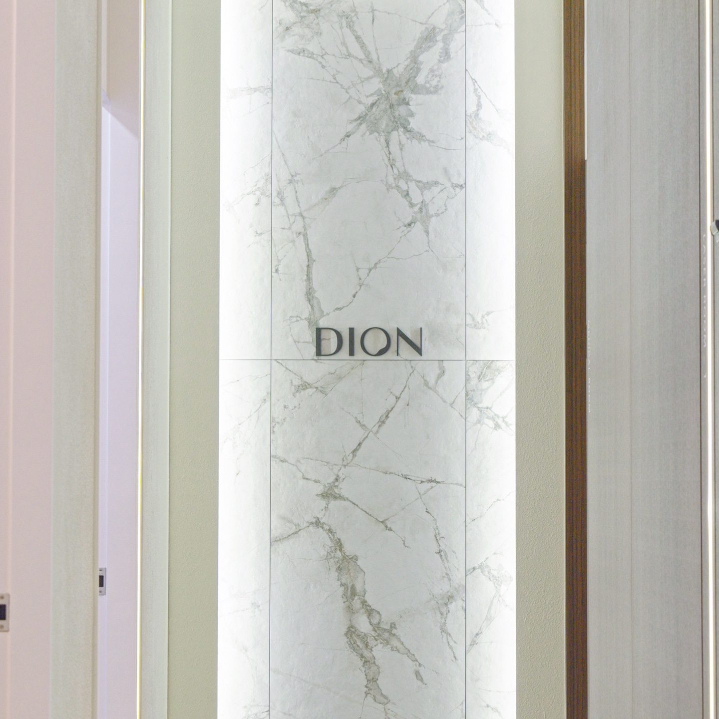 Dr. Hwang Hyeon-ho - Dion Clinic seolleung Director