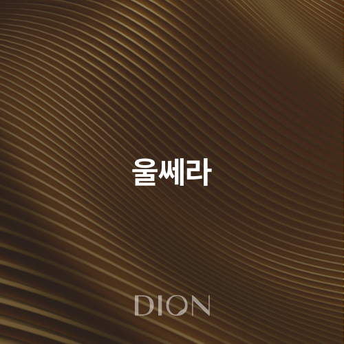 울쎄라 1 - 디온의원 선릉점