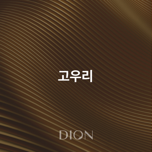 고우리 - 디온의원 선릉점