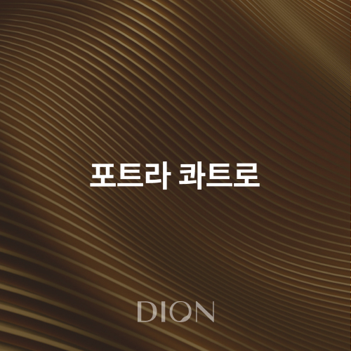포트라 콰트로 - 디온의원 선릉점